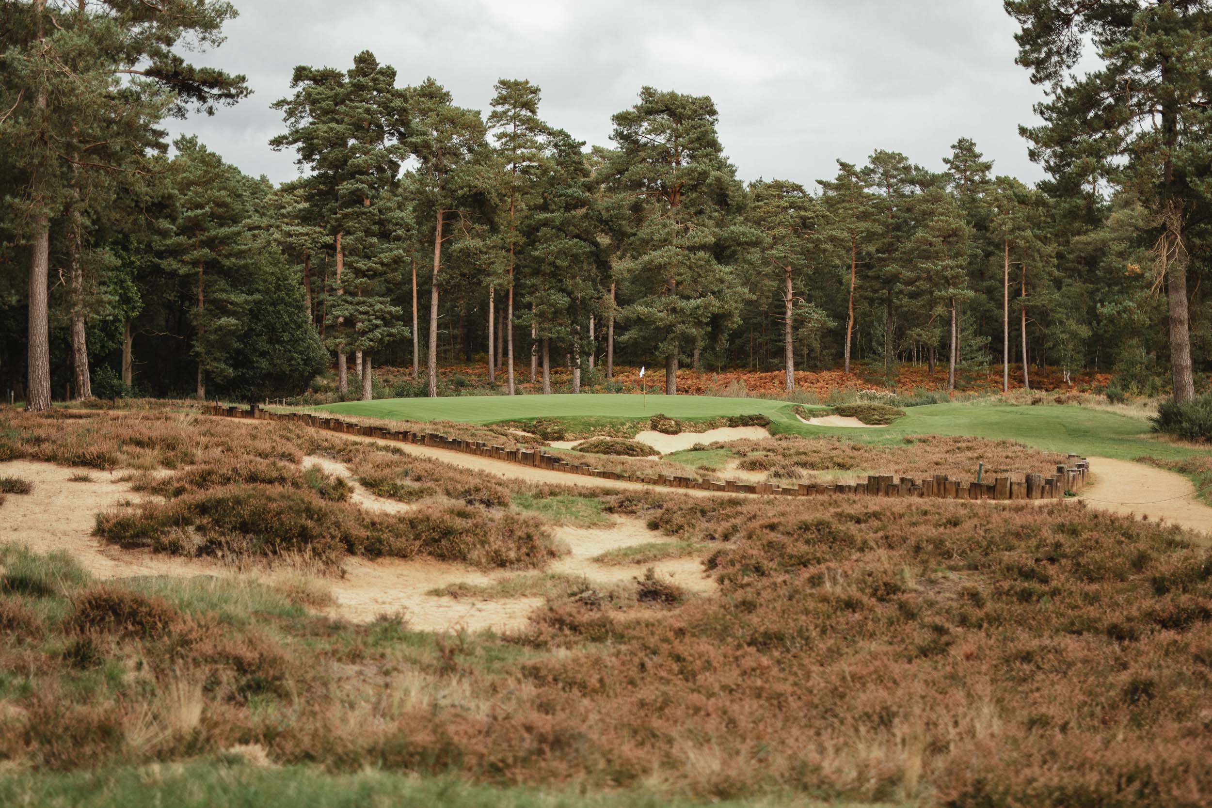 Hankley Common, England