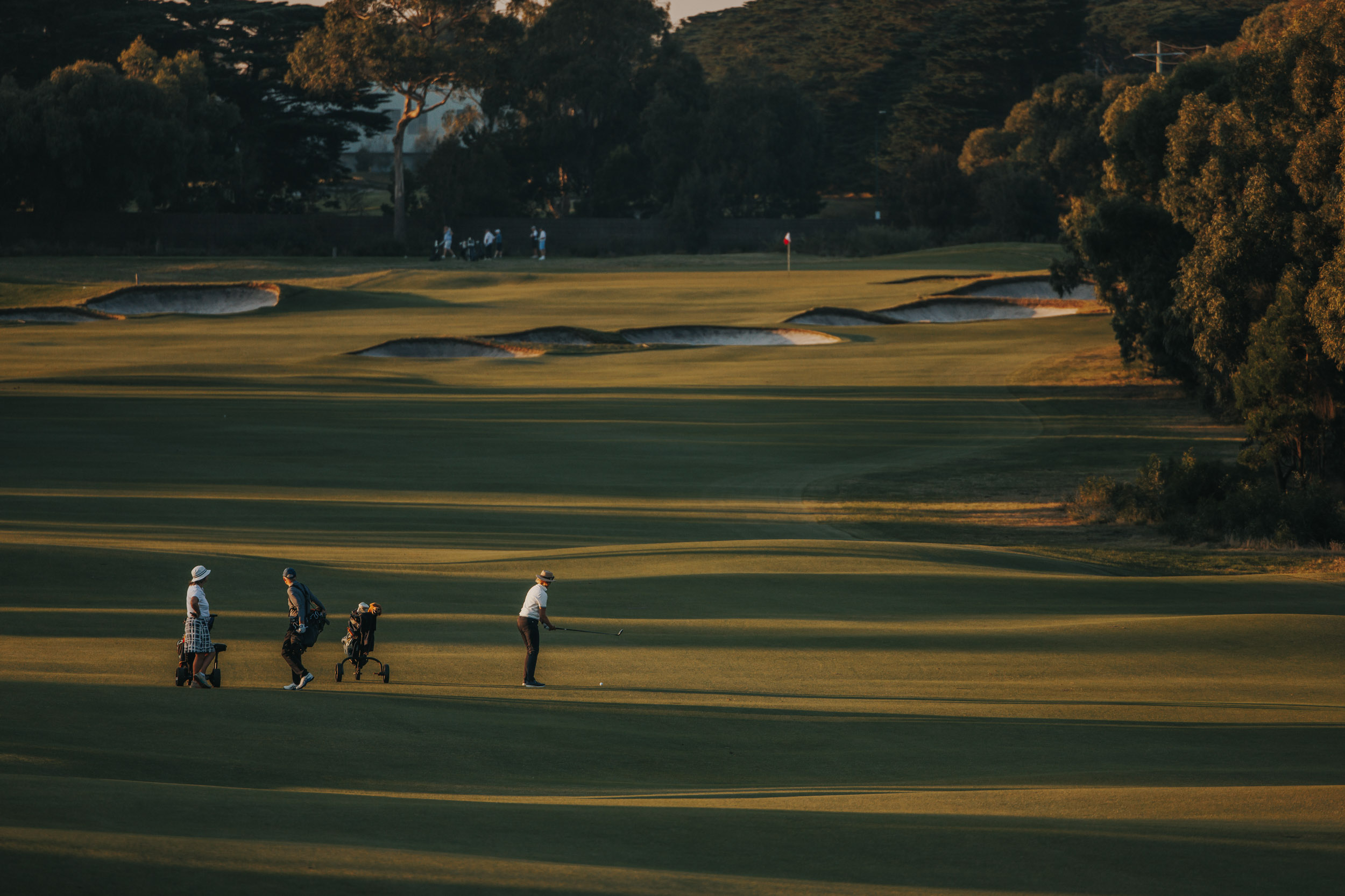 Golfers walking in late gold light at the Royal Melbourne Invitational