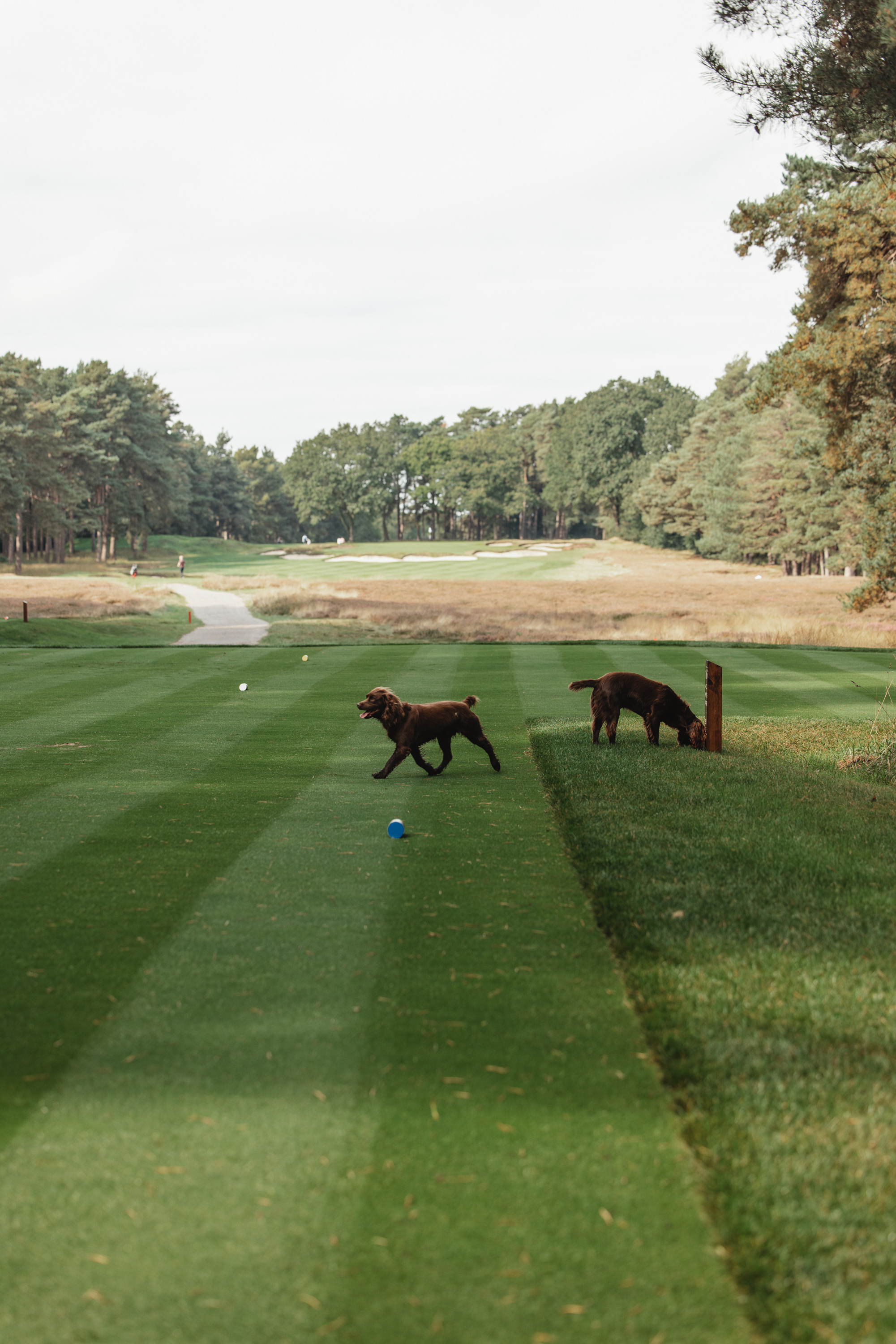 Sunningdale, England