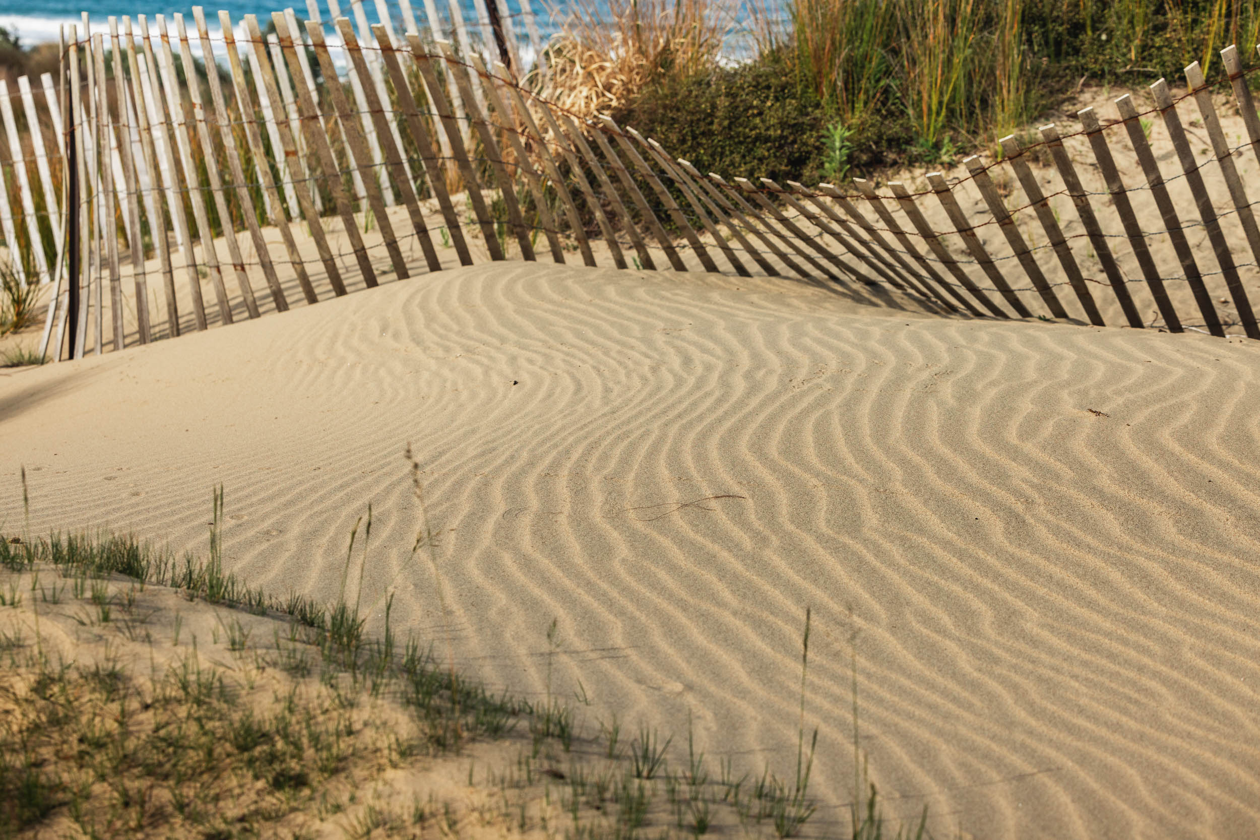Wind ripples and fence shadows in the sand at Te Arai