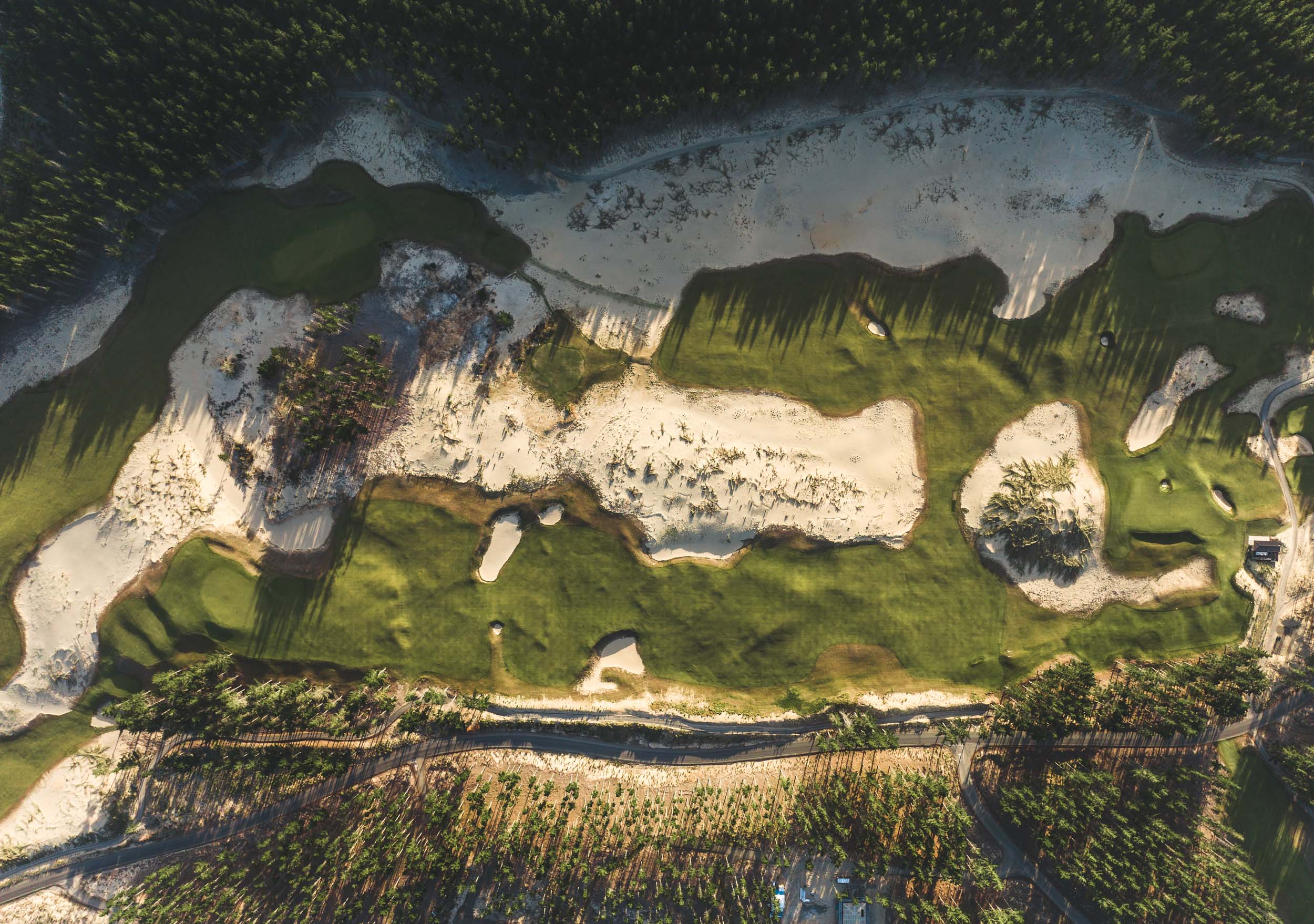 Looking straight down on a Te Arai fairway winding through open sand and pines