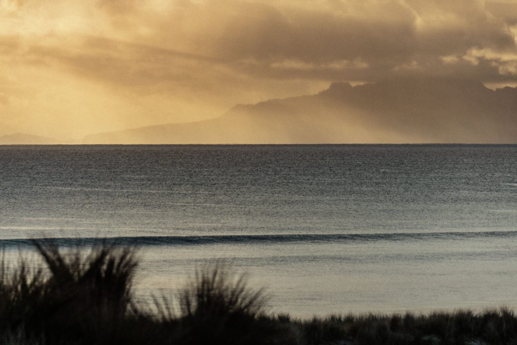 Contours_TeArai_May2023_WWP-99