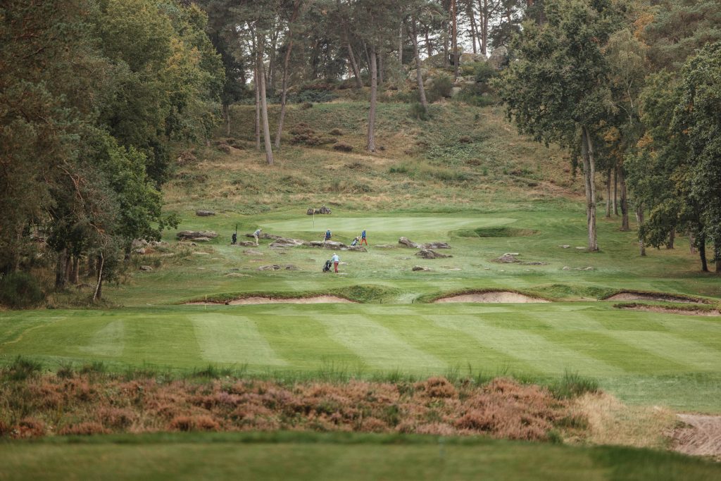 Contours_Fontainebleau_Sept24-115