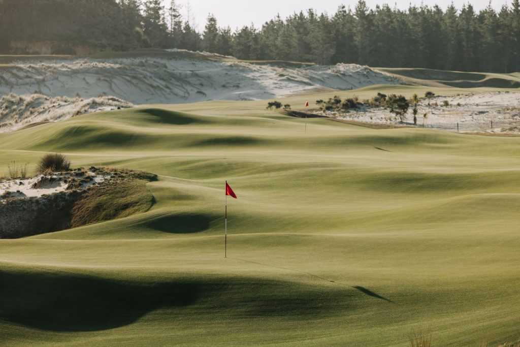 TeAraiLinks_Contours_WilliamWatt_Nov24-159