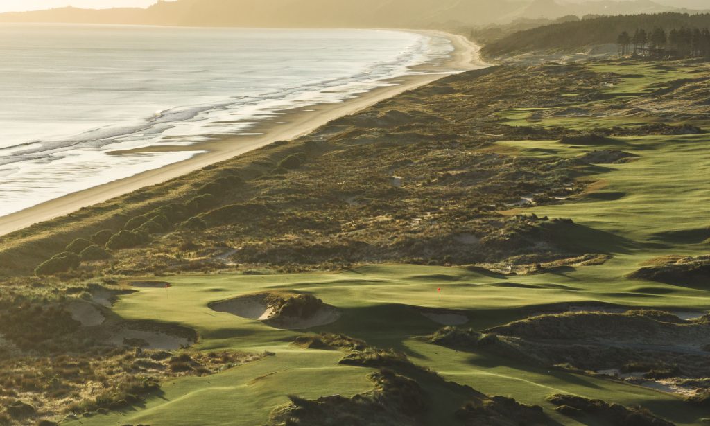 TeAraiLinks_Contours_WilliamWatt_Nov24-356